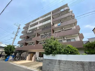 ハミング西浦の画像