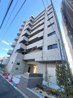 ミリアビタNO 42の画像