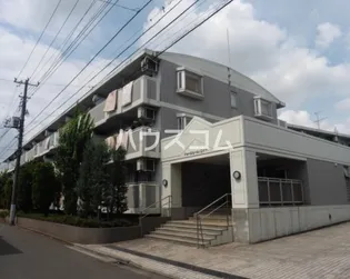 ドゥジェーム ニイヤの画像