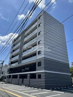 レイ和白の画像