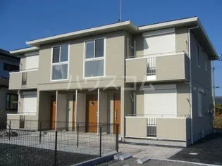 ルピナスの画像