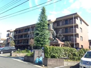 コーラルリーフの画像