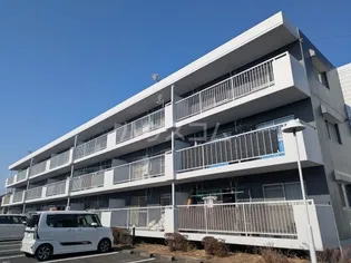 エルシティの画像