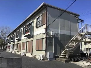 アムスシーダの画像