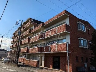 カ アンジェリの画像