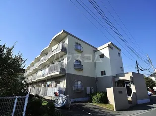 アイランドビレッジの画像