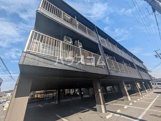 タイムD3の画像