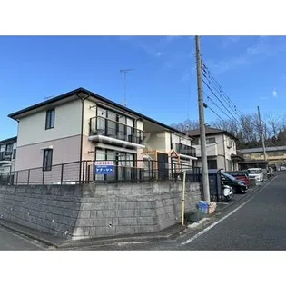 クリプトメリアBの画像