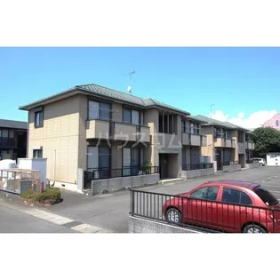 パーシモン Dの画像