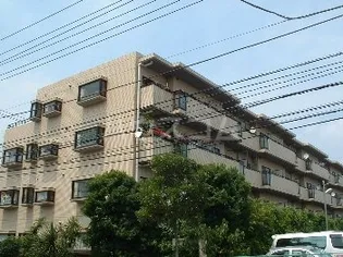 アゼリア2の画像