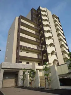 アクセルコートの画像