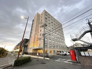 センテナリオホソヤの画像