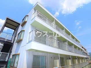 パレドールIIの画像