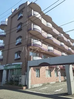 コモラード橋本の画像