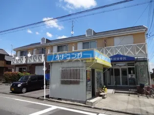 コア イトジューの画像