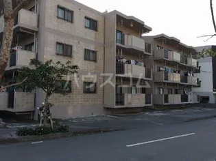 真嘉比ガーデンの画像