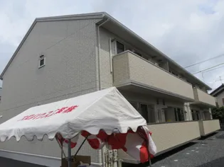 ラベンダーの画像