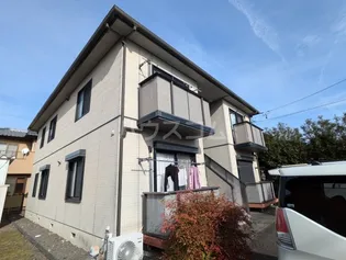 アニーカーサの画像