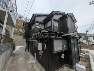 キヌガサテラスの画像