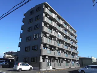 マンショングレイスの画像