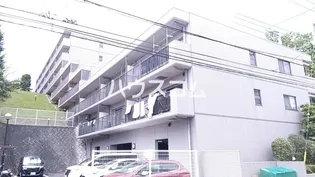 スミスあおやまの画像