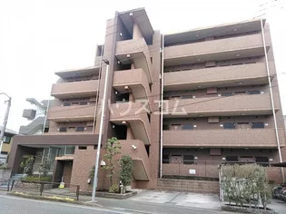 オキザリスの画像