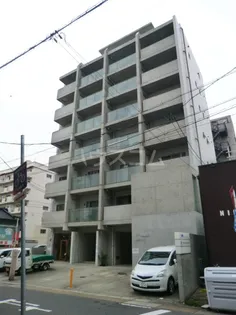 ホワイト ウィステリアの画像