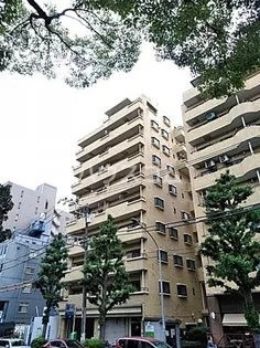ネオアージュ横浜大通り公園の画像