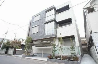 セルディーナの画像