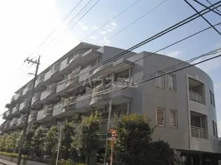 ヴェルドゥミールの画像