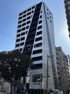 MYS CASETTA HAKATAの画像