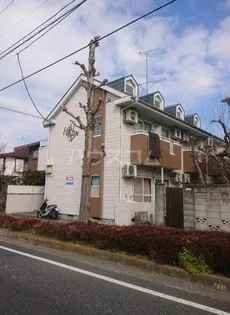 ハイムマンドリンの画像