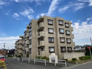 エクシード36の画像