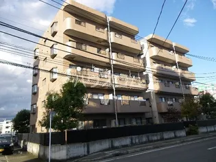 ヒルトークの画像