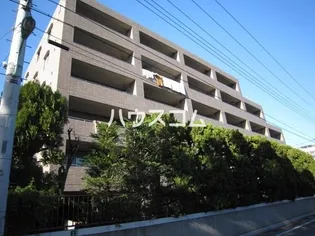 フォレストコートの画像