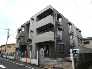 マルベリーの画像