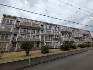 天白第一住宅 8号棟の画像