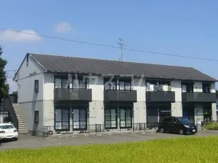 セレッソ大島の画像