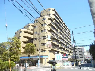 ツイン コートの画像