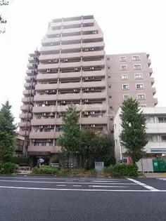 ライオンズプラザ本蓮沼【11階】の外観