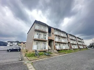 コートウィステリアの画像