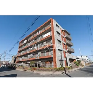 ジーオー桜庵の画像