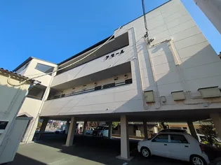 アゼールの画像