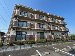 デ ル デビューKの画像