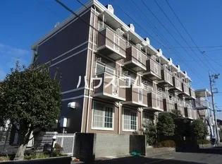 CEREZO PASEOIの画像