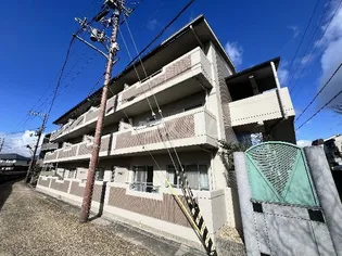 パトリード有栖の画像