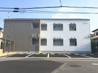 ゼラニウムの画像