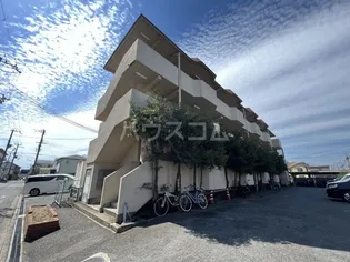 テラ トレの画像