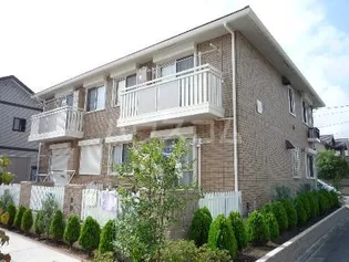 セレッソ湘南の画像