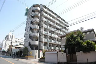 エクセレント上新11の画像